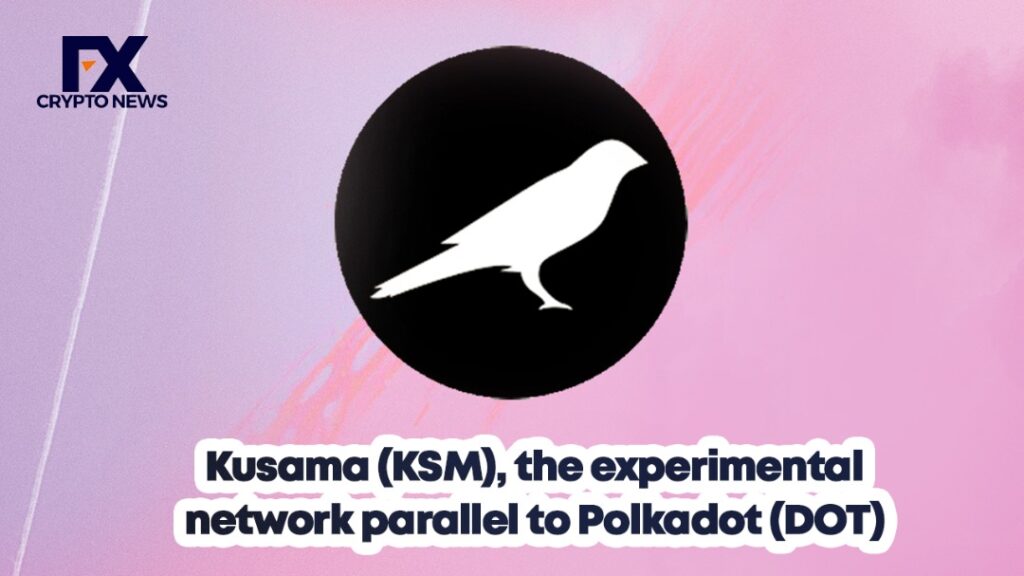 Kusama (KSM), the experimental network parallel to Polkadot (DOT)