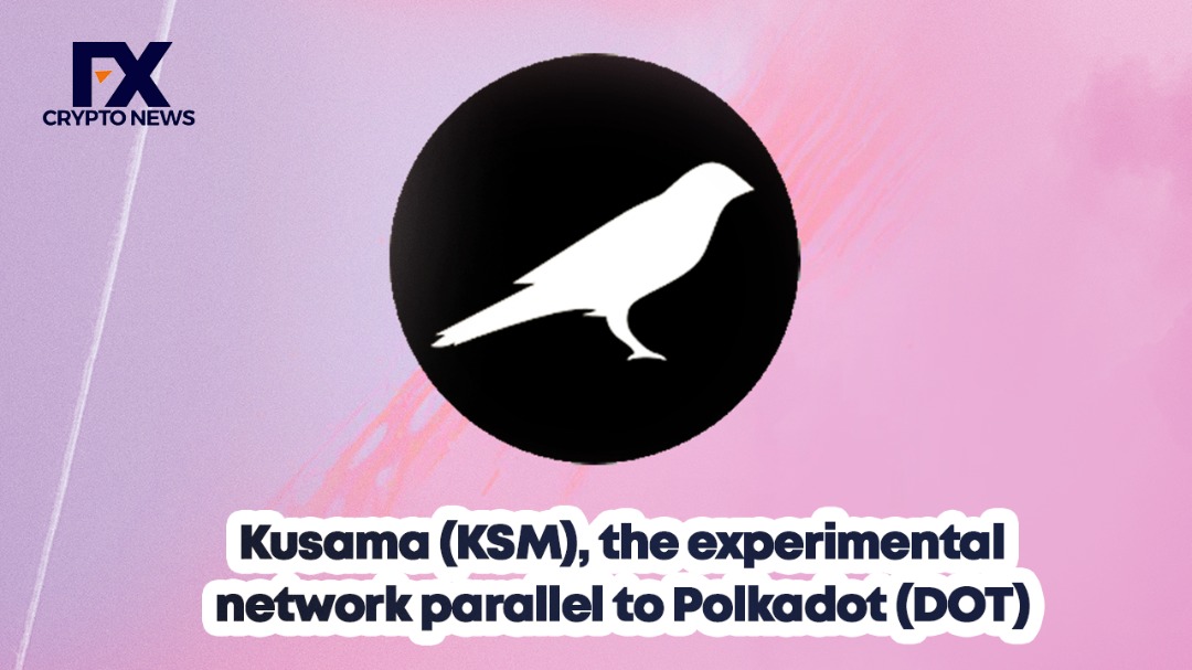 Kusama (KSM), the experimental network parallel to Polkadot (DOT)