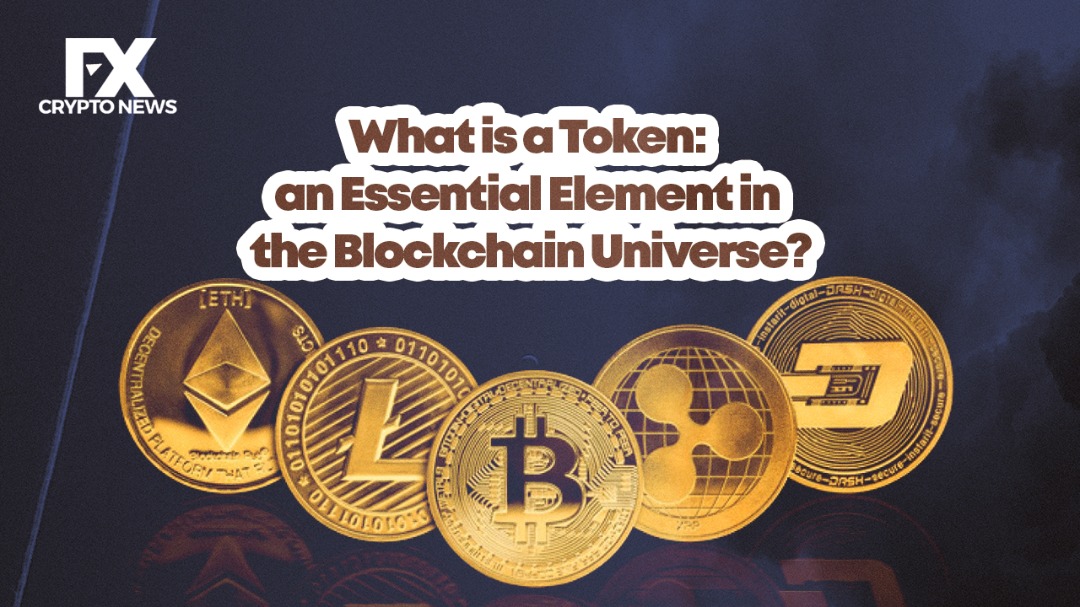 What is a Token: an Essential Element in the Blockchain Universe?