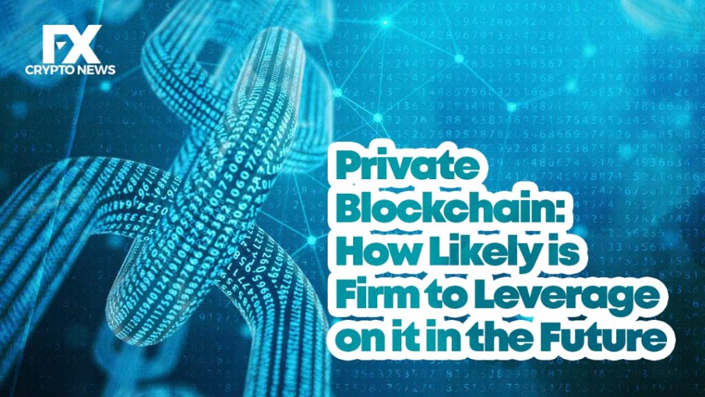 Private Blockchain: How Likely is a Firm to Leverage it in the Future