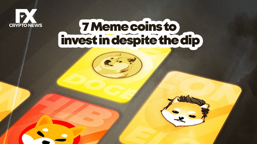 7 Meme Coins to Invest in Despite the Dip