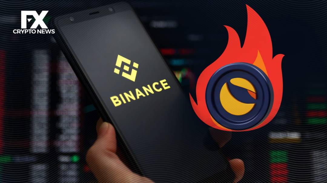More Lunc burns by Binance