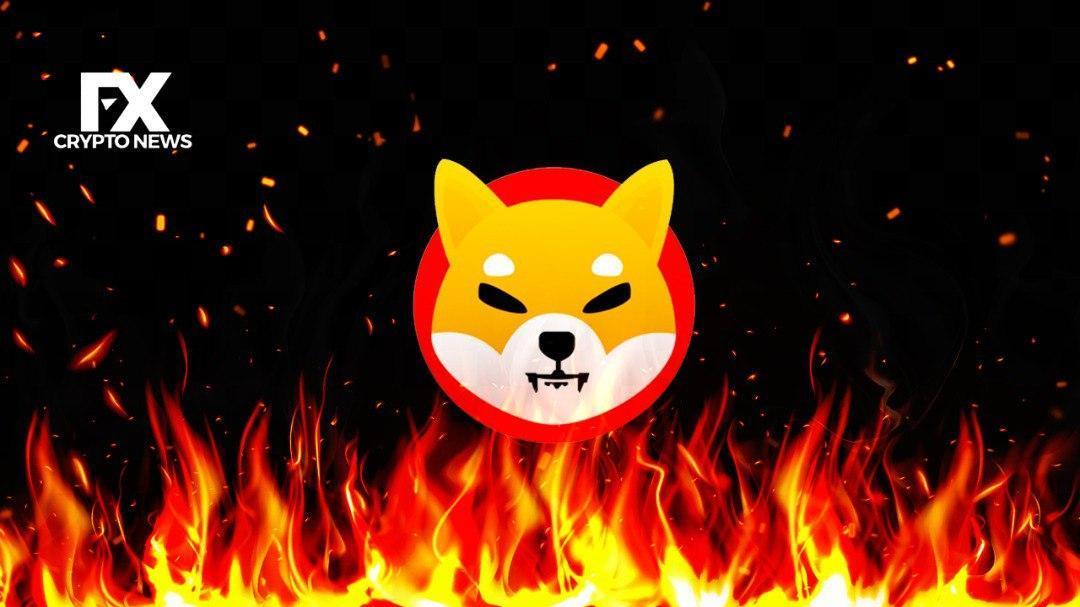 Shiba Inu Token Burn