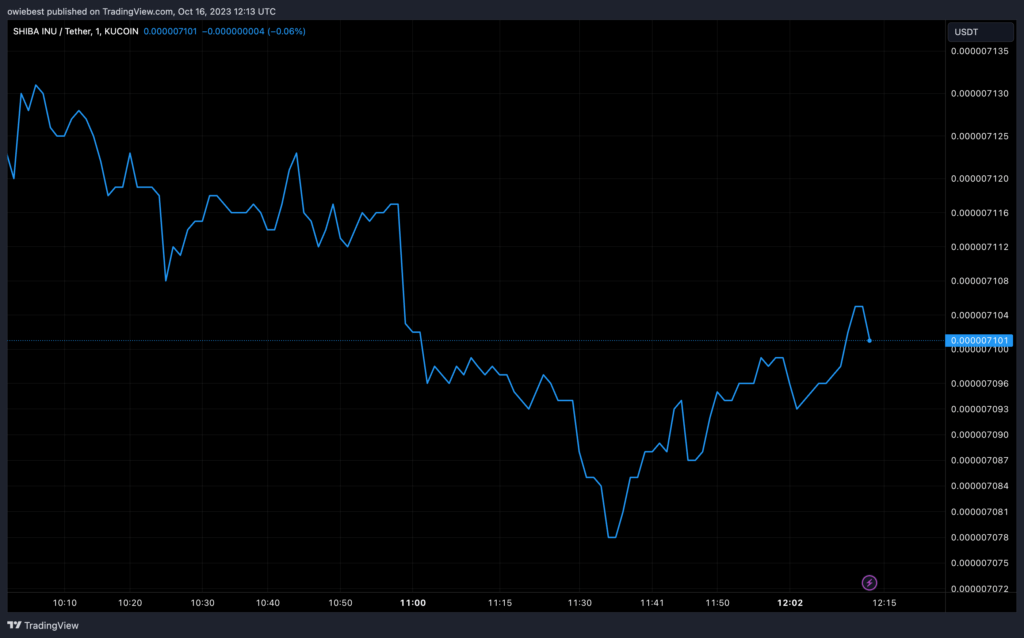 SHIB price holding $0.0000071 | Source: SHIBUSD on Tradingview.com