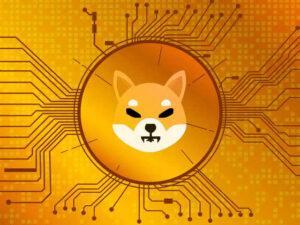SHIB 417 Billion New Wallet Token Accumulation