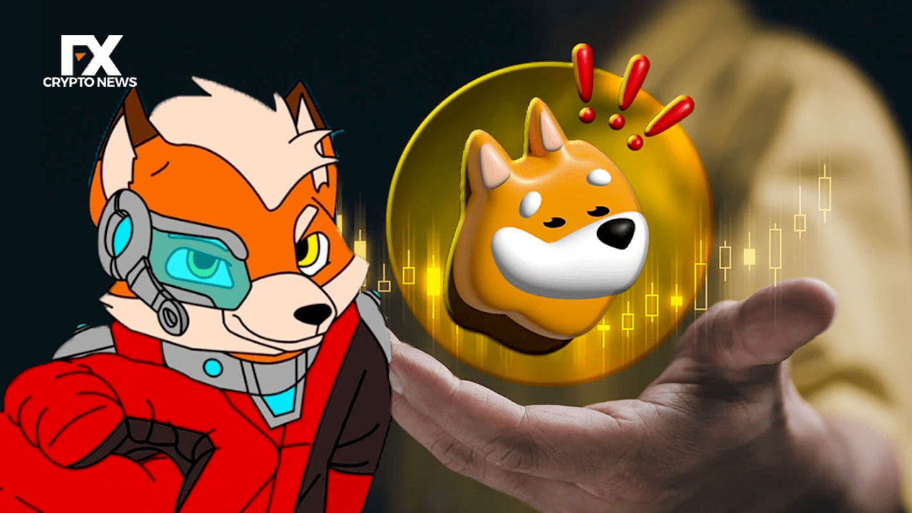 SHIB Faces Challenges: $BONK Eyes Overtake, $GFOX Targets Flip in 2024
