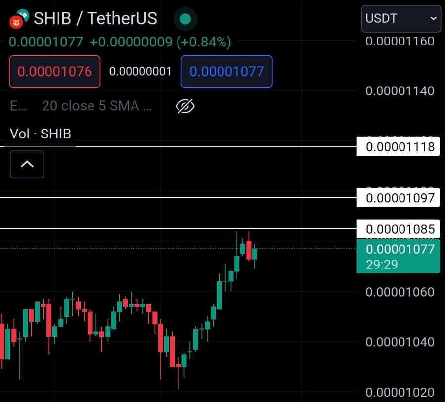 SHIB Chart Analysis