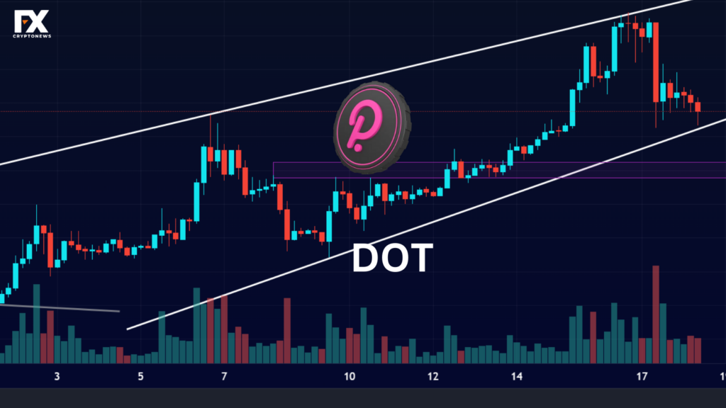Unveiling Polkadot's Price Analysis: Exploring Past Performance and Current Trends
