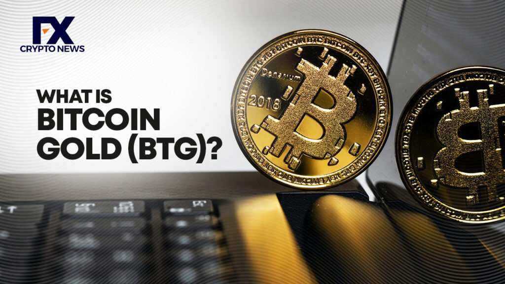 Bitcoin Gold (BTG) Price Prediction 2024, 2025, 2030, 2035, 2040 | Is ELON Worth Holding?