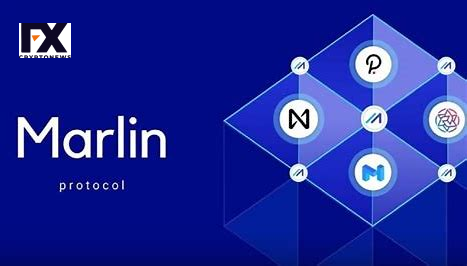 Marlin (POND) Price Prediction 2024, 2025, 2030, 2035, 2040 | Is POND Worth Holding?