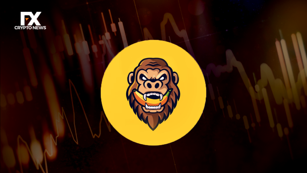 $GORILLA Day Price Analysis
