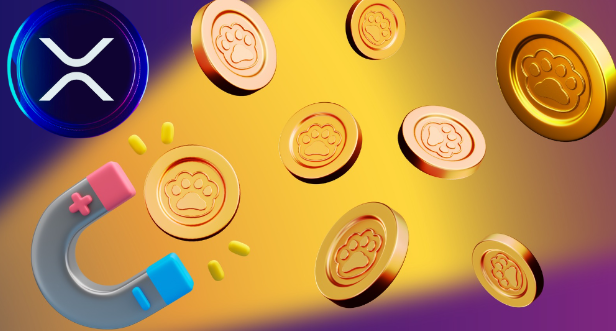 Ripple (XRP) and Terra Classic (LUNC) Investors Turning Attention to This Presale