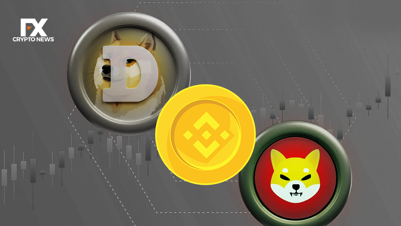 Binance Expands Smart Arbitrage with XRP and Dogecoin: New Rewards Announced