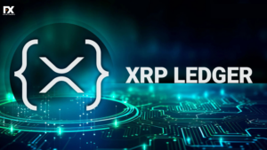 XRP Army Community Reacts Positively to XRP Ledger Development Roadmap