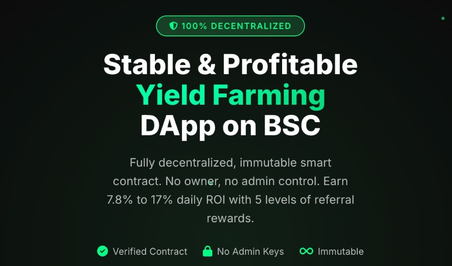 BNBCapital Smart Contract: Daily 17% Returns Drive Investors to Immutable DeFi Protocol