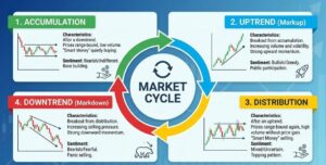How XR Trust Group Structures Its Trading Process From Analysis to Execution